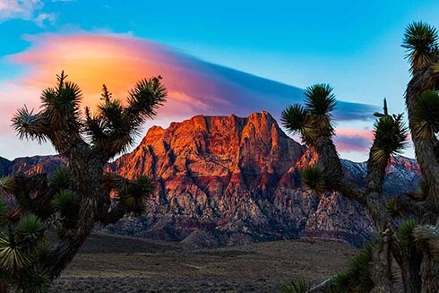 The Red Rock Canyon National Conservation Area 