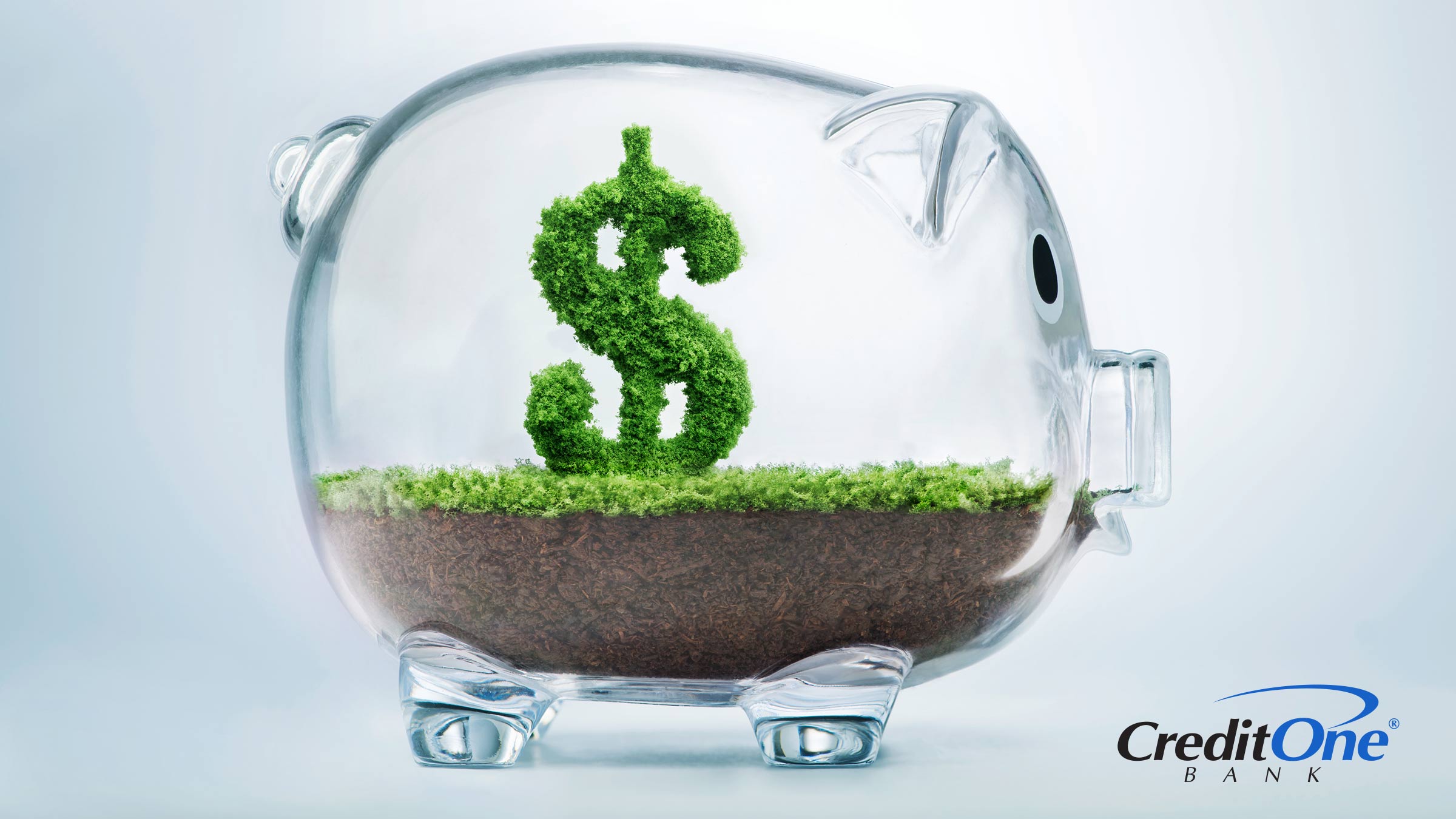 A clear piggy bank is filled with soil and a plant growing in the shape of a dollar sign, signifying a savings account growing.