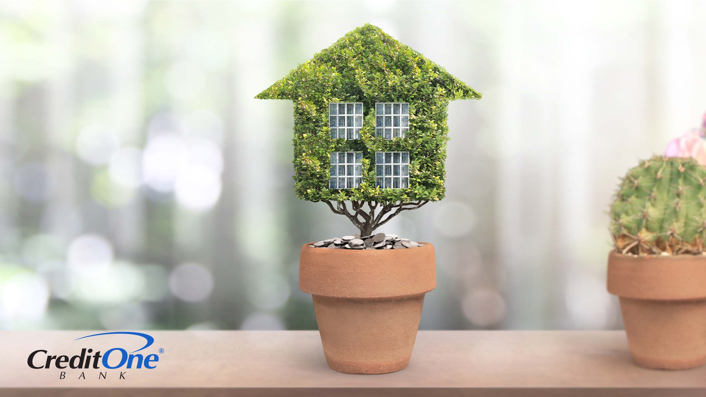 A plant that looks like a house sits inside of a pot filled with coins, signifying paying for an eco-friendly home.