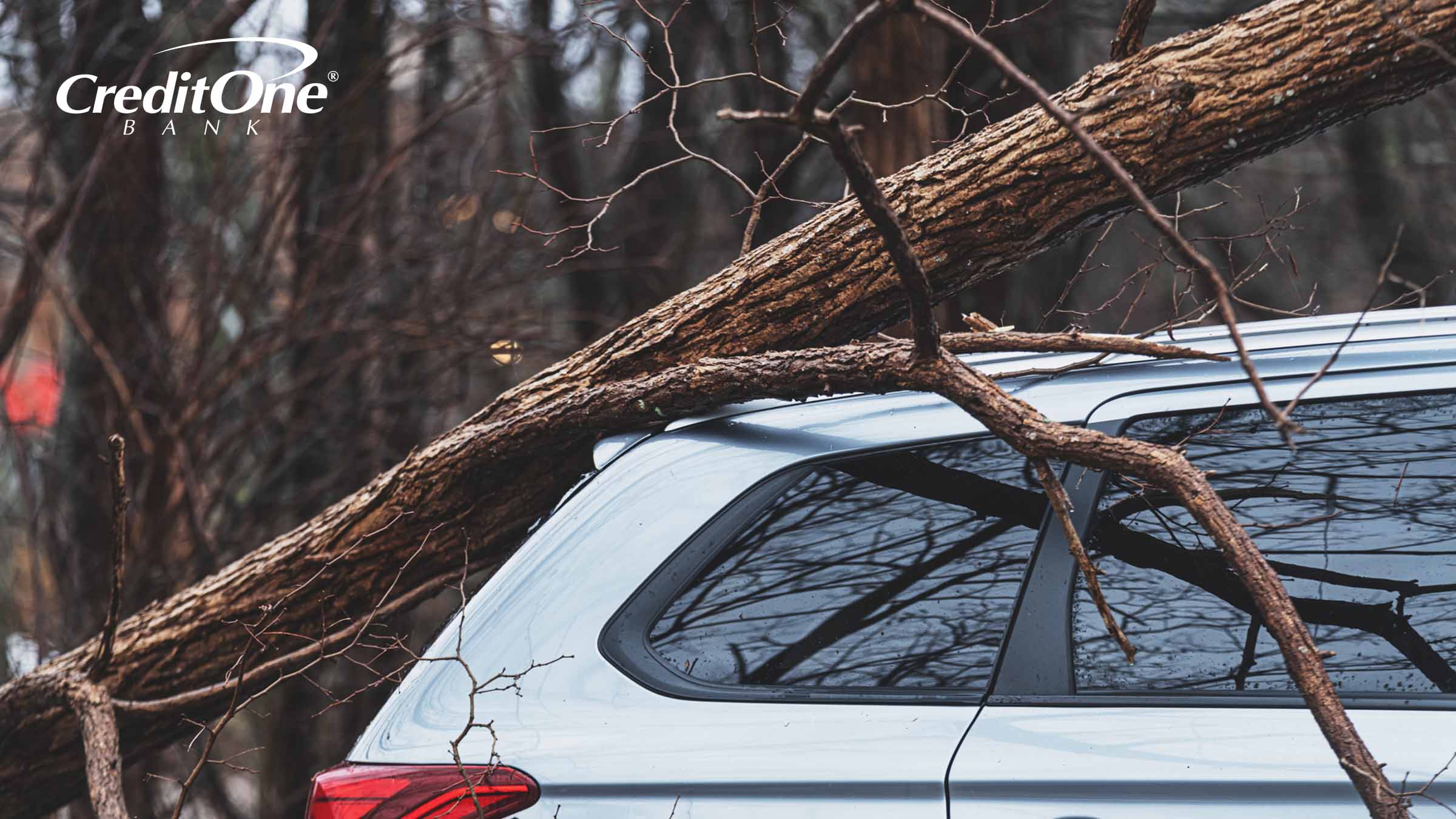A storm has caused a tree to fall on an SUV, which requires comprehensive coverage to pay for the damage.