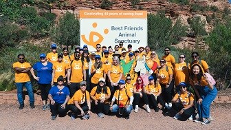 Credit One Bank volunteers