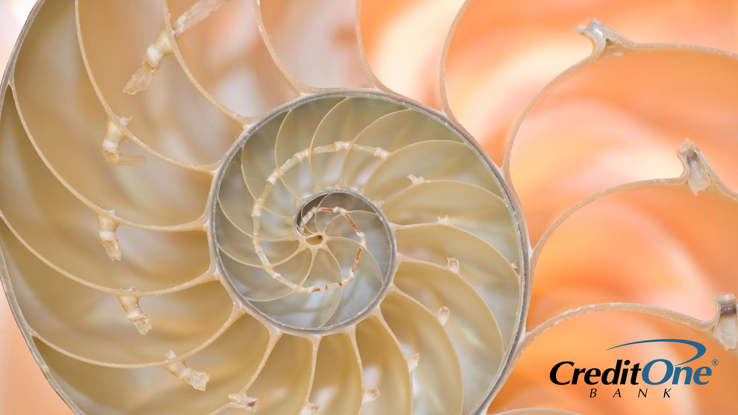 The golden ratio of credit The golden ratio of credit