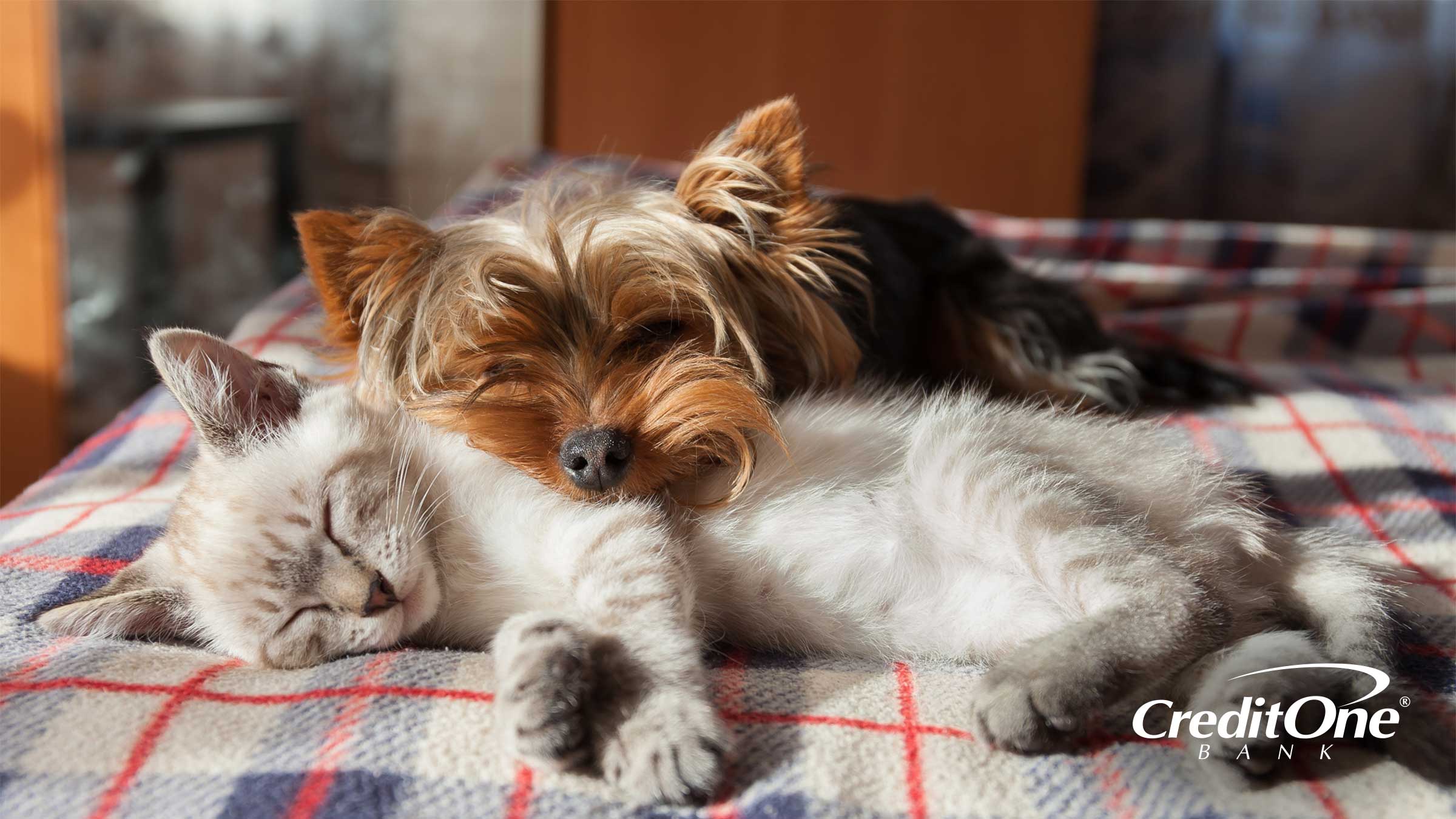 Pet Memorial Gifts Pet Memorial Gifts