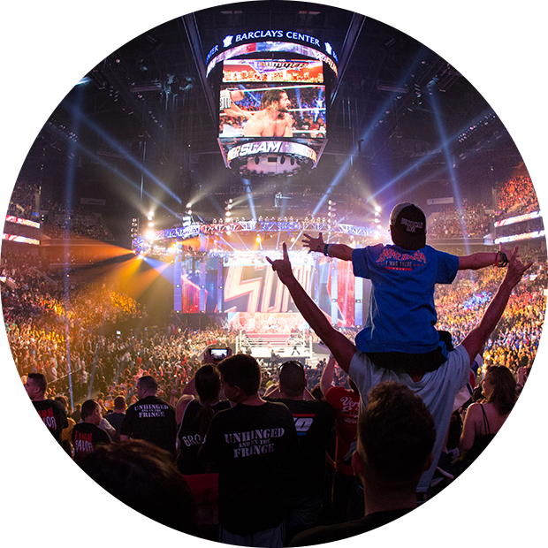 Fans watching a WWE wrestling event