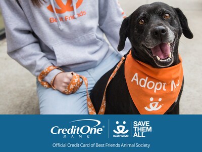 Credit One Bank Pledges $1 Million to Best Friends Animal Society